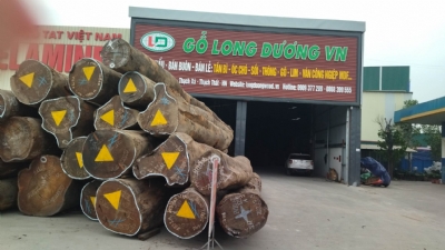  Bên em vẫn về thường xuyên các loại gỗ để phục vụ khách hàng. Phục vụ 24/7 kể cả ngày lễ. Các bác cần chỉ việc nhấc máy alo em phục  vụ tận chân công trình ạ: 0909377209/ 0988045958